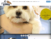 Tablet Screenshot of dogsplay.com.au